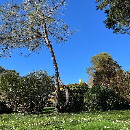 Villa De Miha วัลบอนน์ ภายนอก รูปภาพ